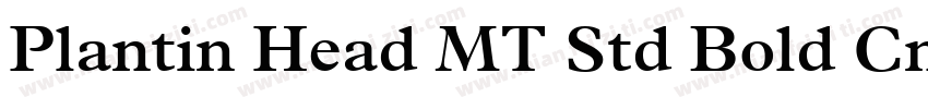 Plantin Head MT Std Bold Cn字体转换